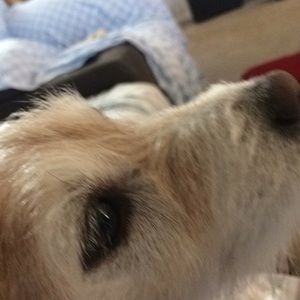 Meet your Posher, Bethany